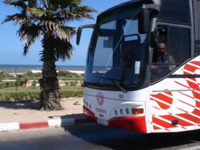 car de wydad